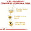 ROYAL CANIN BHN Golden Retriever sucha karma dla psa - 12kg