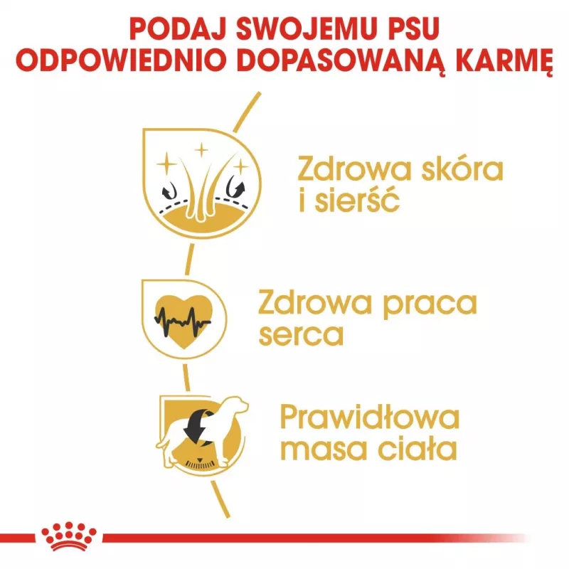 ROYAL CANIN BHN Golden Retriever sucha karma dla psa - 12kg