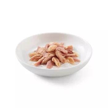 SCHESIR Tuńczyk z łososiem w galarecie - mokra karma dla kota - 6x50g