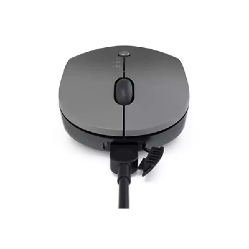 Lenovo Go Wireless Multi Device mysz biurowa symetryczna RF Wireless + Bluetooth + USB Type-A optyczna 2400 DPI
