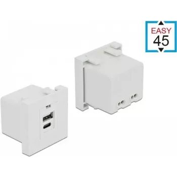 Gniazdko USB A + USB C DeLOCK 81313