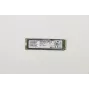 Lenovo SSD 1 TB PM981 PCIe M.2 (FRU01FR510)