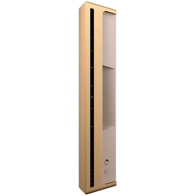 Głośnik Beosound Level w kolorze Gold Tone Alu (pokrywa Light Oak)