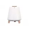 Głośnik przenośny Blaupunkt BT25LAMP Biały