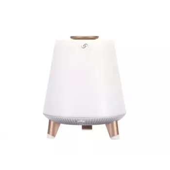 Głośnik przenośny Blaupunkt BT25LAMP Biały