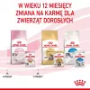 Mokra karma dla kota Royal Canin Kitten Gravy 85 g — drób, 78% wilgotności, 12% białka