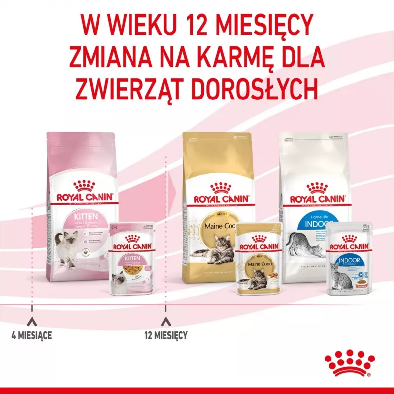 Mokra karma dla kota Royal Canin Kitten Gravy 85 g — drób, 78% wilgotności, 12% białka