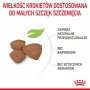 Sucha karma dla psa Royal Canin Mini Puppy 2 kg — rasy małe, kurczak, 31% białka