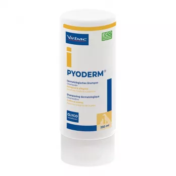 Szampon VIRBAC PYODERM dla psów i kotów 250 ml
