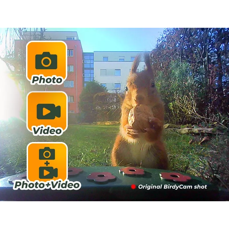 Kamera do obserwacji ptaków EASYPIX Easypix Bird Cam 10123 1080p HD z noktowizorem