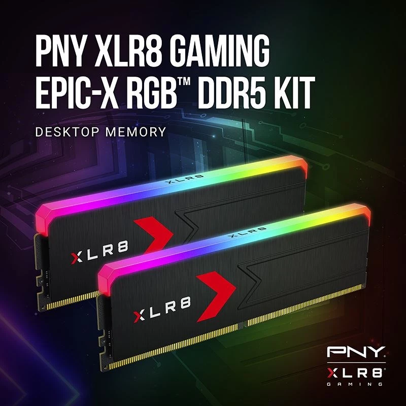 Pamięć PNY DDR5 32 GB 5600 BULK