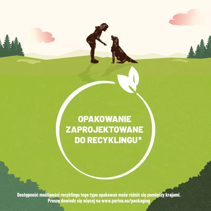 PURINA Adventuros Training salmon - przysmak dla psa - 40g