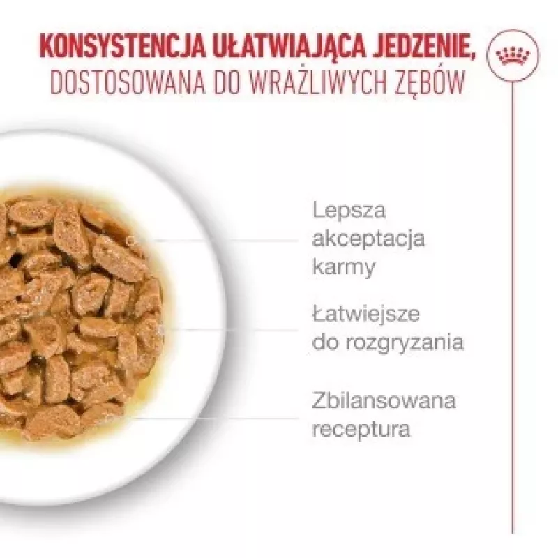 Mokra karma dla kota Royal Canin FHN Ageing 11+ Gravy 12×85 g – kompletne mokre tacki dla seniorów