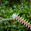 NOŻYCE DO ŻYWOPŁOTU BD 650 W / 60 cm / 25 mm
