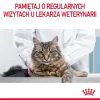 Mokra karma dla kota Royal Canin Urinary Care dorosły drób 85 g saszetka (12szt.)