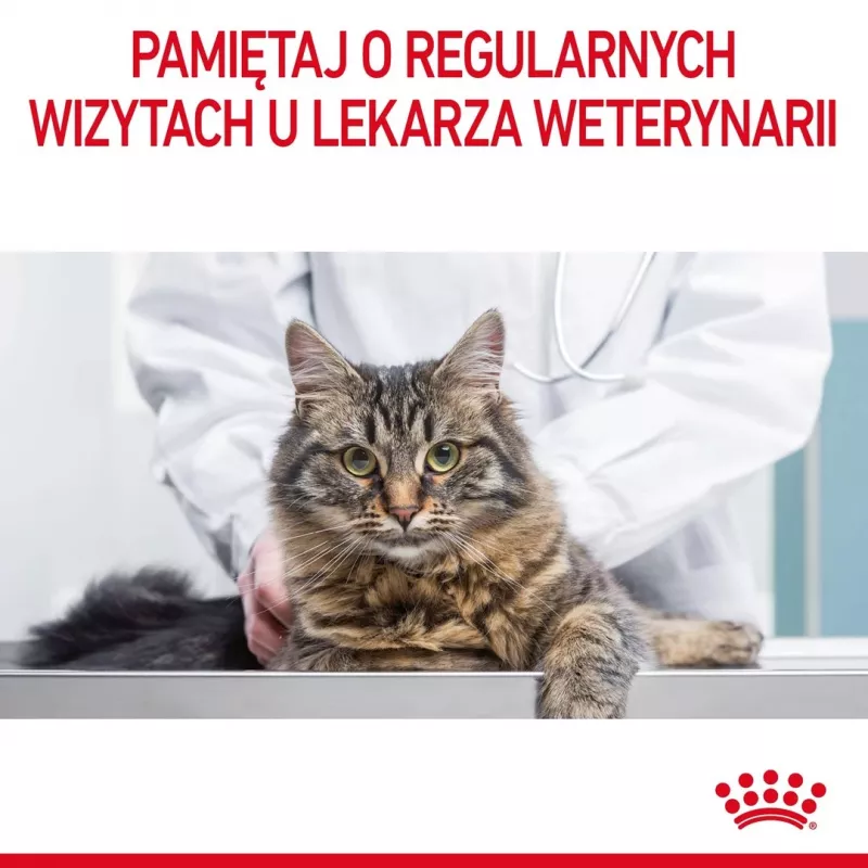 Mokra karma dla kota Royal Canin Urinary Care dorosły drób 85 g saszetka (12szt.)