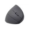 Gembird MUSW-ERGO-01 mysz Praworęczna RF Bezprzewodowa Optyczna 1600 DPI