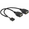 Wewnętrzny kabel USB DeLOCK 83292 0,2 m żeński na żeński