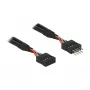 Kabel DeLOCK 0,1 m 2xUSB2.0 10-pin