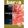 Papier fotograficzny Barva Profi Super Glossy 255 g/m² A3 20 arkuszy
