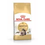 Sucha karma dla kota Royal Canin Maine Coon Adult 10 kg — drób (kurczak), 31% białka, 20% tłuszczu