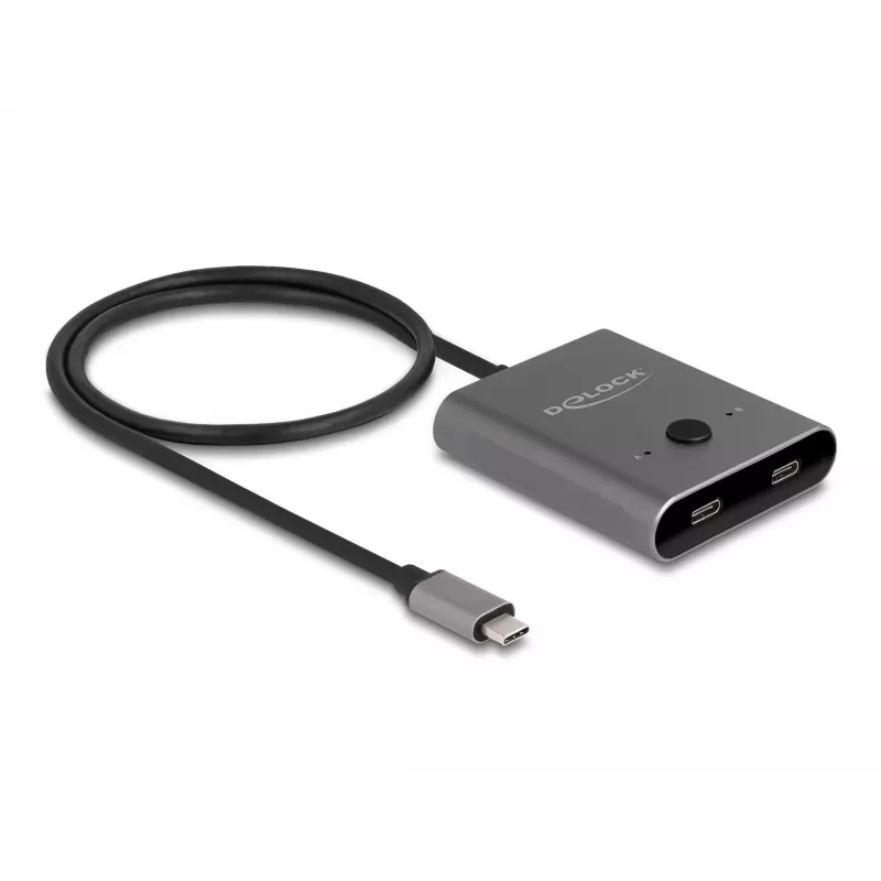 DeLOCK 11500 USB 3.2 Gen 2 Type-C Hub 10000 Mbit/s 144 Hz