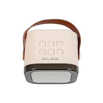 Karaoke Speaker, Głośnik Bluetooth KARAOKE RGB, 30 W