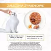 GOURMET GOLD - Ciastko z Kurczakiem i Marchewką 85g