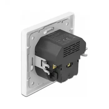 DeLOCK 11489 Gniazdo sieciowe CEE 7/3 + USB biały 250V 16A