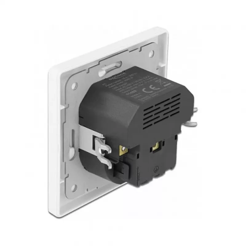 DeLOCK 11489 Gniazdo sieciowe CEE 7/3 + USB biały 250V 16A