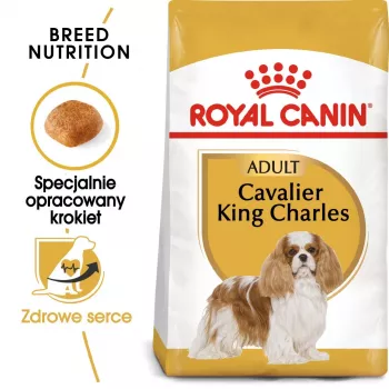 Sucha karma dla psa Royal Canin Cavalier King Charles Adult 1,5 kg — kurczak, mała rasa, skóra i sierść, wsparcie serca