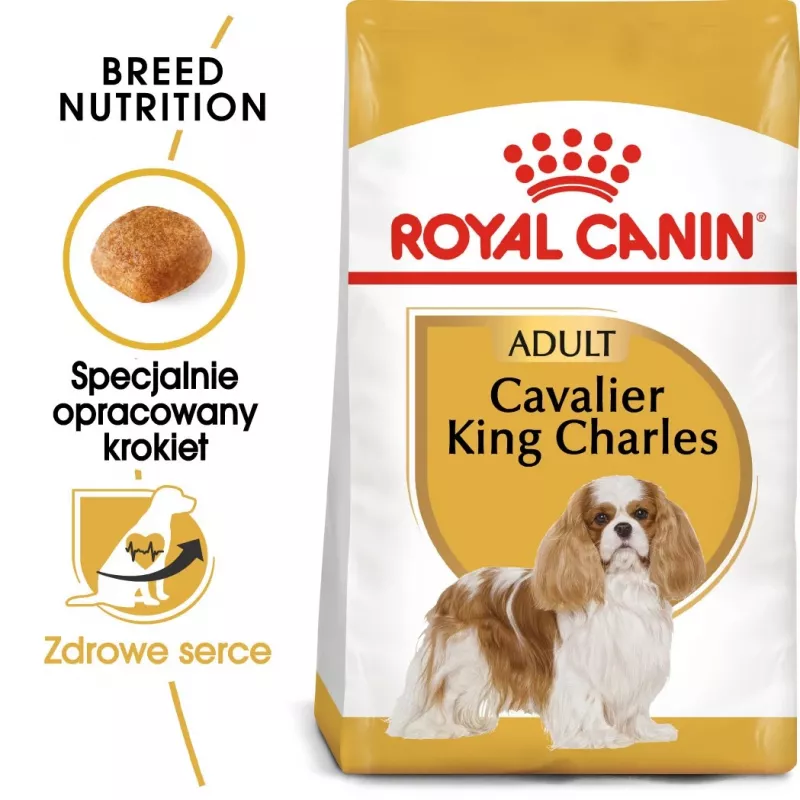 Sucha karma dla psa Royal Canin Cavalier King Charles Adult 1,5 kg — kurczak, mała rasa, skóra i sierść, wsparcie serca