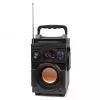 Głośnik Bluetooth 5.1 Squeak Bassblaster, Radio FM, Odtwarzacz MP3 SQ1001