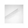 Sufitowa lampa LED Trilux Leuchten 6474140, 26 W, neutralna biel, prostokątna, 1534×111×101 mm
