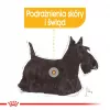 Mokra karma dla psów Royal Canin Dermacomfort Adult 85 g saszetka — dla wrażliwej skóry, smak drobiowy, 78% wilgotności
