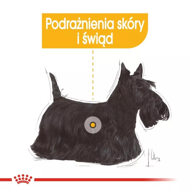 Mokra karma dla psów Royal Canin Dermacomfort Adult 85 g saszetka — dla wrażliwej skóry, smak drobiowy, 78% wilgotności