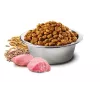 Sucha karma dla psa Farmina N&D Ancestral Grain kurczak dla dorosłych kotów 15 kg — 27% białka, 16% tłuszczu