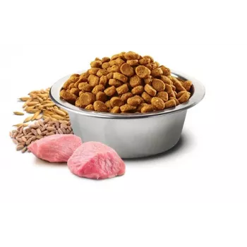 Sucha karma dla psa Farmina N&D Ancestral Grain kurczak dla dorosłych kotów 15 kg — 27% białka, 16% tłuszczu
