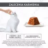 Mokra karma dla kota Purina Nestlé Gourmet Revelations Kawałki w galarecie z kurczakiem 2 x 57 g, dorosłe, białko 9%, wilgotność 83%