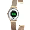 Smartwatch MaxCom FW42 GOLD Gold