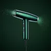Suszarka do włosów BaByliss Air Power Pro 1700 W Złoty, Zielony