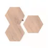 Oświetlenie nastrojowe Nanoleaf Elements Wood Look Hex Exp Pk 3