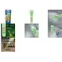 Latarka ręczna Varta Kids Flashlight Jasnozielona ABS PC 70h czas pracy na baterii