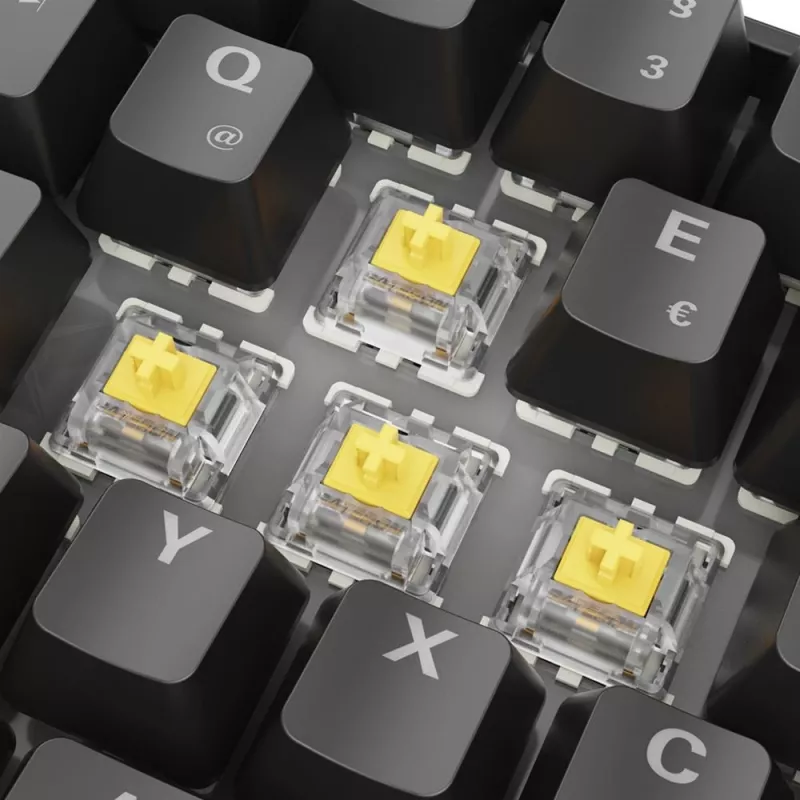 Sharkoon 100065629 klawiatura Home USB QWERTZ niemiecka czarna