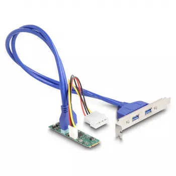 DeLOCK karty interfejsów/adapter 61065 Wewnętrzny USB 3.2 Gen 1 M.2 Męski