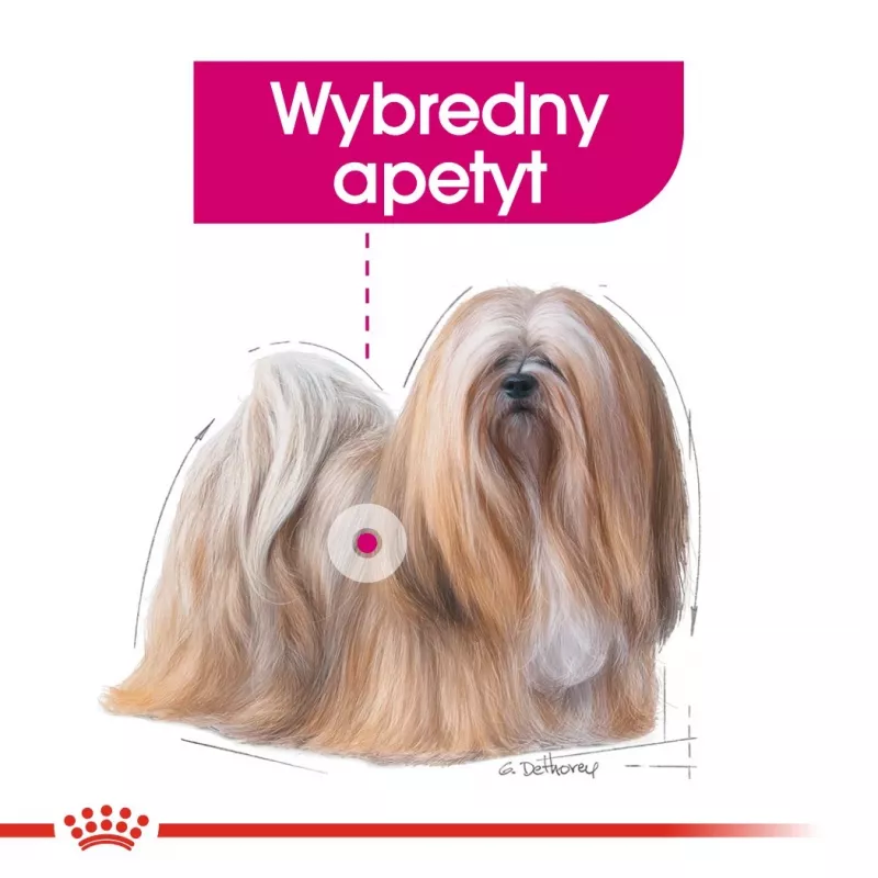 Sucha karma dla psa Royal Canin Mini Exigent 1 kg — senior małych ras, 30% białka, 22% tłuszczu