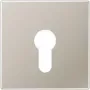 Jung Płytka osłonowa eds dla przełącznika kluczykowego ES 2925 (ES2925)
