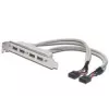 Kabel wspornika gniazda USB 2.0 HighSpeed typ 2xIDC (5pin)/4xUSB A M/Ż szary 0,25m