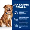 HILL'S Prescription Diet Derm Complete - sucha karma dla psów - 1,5kg