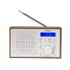 Radio Denver DAB-46WHITE Internet Analogowe i Cyfrowe